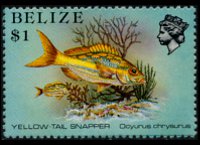 Belize 1984 - serie Vita marina: 1 $