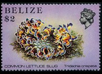 Belize 1984 - serie Vita marina: 2 $