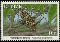 Belize 1995 - serie Insetti: 10 c