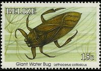 Belize 1995 - serie Insetti: 15 c