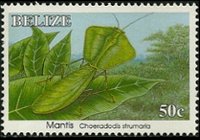 Belize 1995 - serie Insetti: 50 c