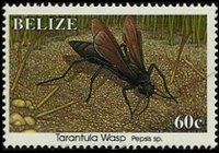 Belize 1995 - serie Insetti: 60 c