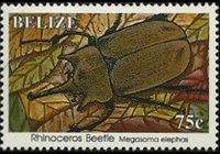 Belize 1995 - serie Insetti: 75 c