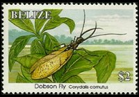 Belize 1995 - serie Insetti: 2 $