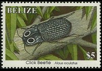 Belize 1995 - serie Insetti: 5 $