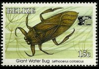 Belize 1995 - serie Insetti: 15 c