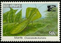 Belize 1995 - serie Insetti: 50 c
