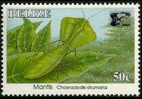 Belize 1995 - set Insects: 50 c