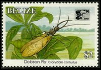 Belize 1995 - serie Insetti: 2 $