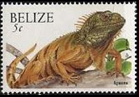 Belize 2000 - serie Animali: 5 c