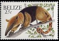 Belize 2000 - serie Animali: 25 c