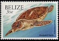 Belize 2000 - serie Animali: 30 c