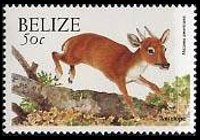 Belize 2000 - serie Animali: 50 c