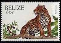 Belize 2000 - serie Animali: 60 c