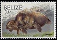 Belize 2000 - serie Animali: 75 c