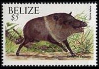 Belize 2000 - serie Animali: 5 $
