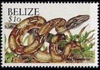 Belize 2000 - serie Animali: 10 $