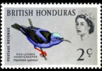Belize 1962 - serie Uccelli: 2 c
