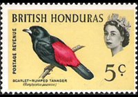 Belize 1962 - serie Uccelli: 5 c