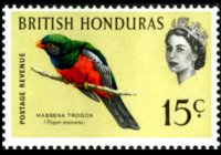 Belize 1962 - serie Uccelli: 15 c