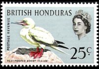 Belize 1962 - serie Uccelli: 25 c