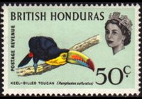 Belize 1962 - serie Uccelli: 50 c