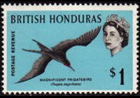 Belize 1962 - serie Uccelli: 1 $