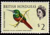 Belize 1962 - serie Uccelli: 2 $