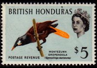 Belize 1962 - serie Uccelli: 5 $