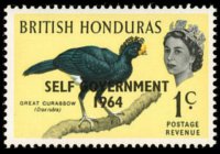 Belize 1962 - serie Uccelli: 1 c