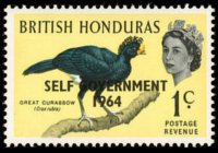 Belize 1962 - set Birds: 1 c