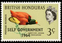 Belize 1962 - set Birds: 3 c