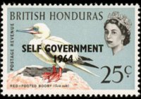 Belize 1962 - serie Uccelli: 25 c