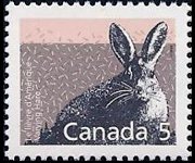 Canada 1988 - serie Mammiferi: 5 c
