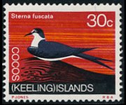 Isole Cocos 1969 - serie Fauna selvatica: 30 c