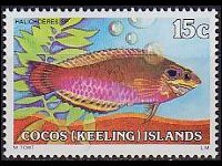 Isole Cocos 1979 - serie Pesci: 15 c