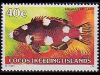 Isole Cocos 1979 - serie Pesci: 40 c
