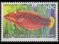 Isole Cocos 1979 - serie Pesci: 50 c