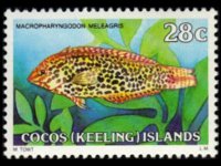 Isole Cocos 1979 - serie Pesci: 28 c