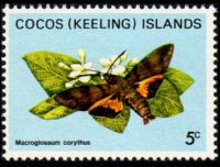 Isole Cocos 1982 - serie Farfalle: 5 c