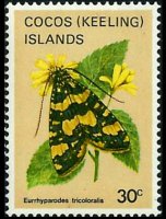 Isole Cocos 1982 - serie Farfalle: 30 c