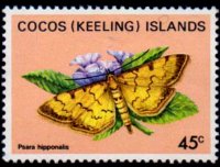Isole Cocos 1982 - serie Farfalle: 45 c