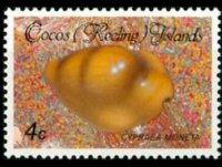 Isole Cocos 1985 - serie Conchiglie e molluschi: 4 c