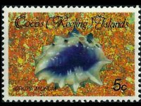 Isole Cocos 1985 - serie Conchiglie e molluschi: 5 c