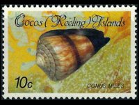Isole Cocos 1985 - serie Conchiglie e molluschi: 10 c