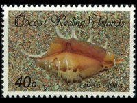 Isole Cocos 1985 - serie Conchiglie e molluschi: 40 c