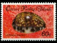 Isole Cocos 1985 - serie Conchiglie e molluschi: 60 c