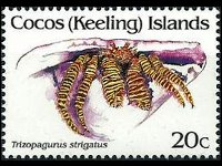 Isole Cocos 1992 - serie Crostacei: 20 c