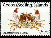 Isole Cocos 1992 - serie Crostacei: 30 c