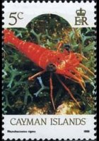 Cayman islands 1986 - set Sealife: 5 c
